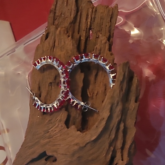 Silver and red earrings - Picture 1 of 3